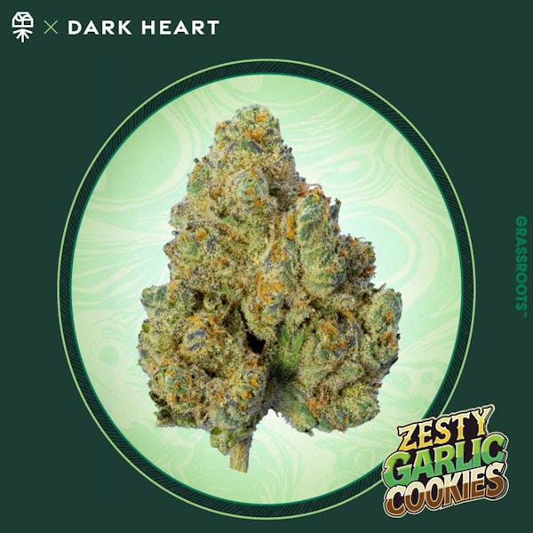 Zesty Garlic Cookies (I) - 7g Popcorn Flower - Grassroots