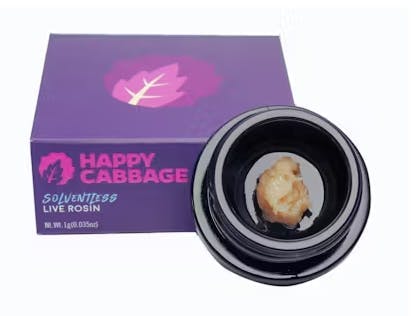 Concentrate | Blox | Pineapple Coquito | Live Rosin Badder | 1g