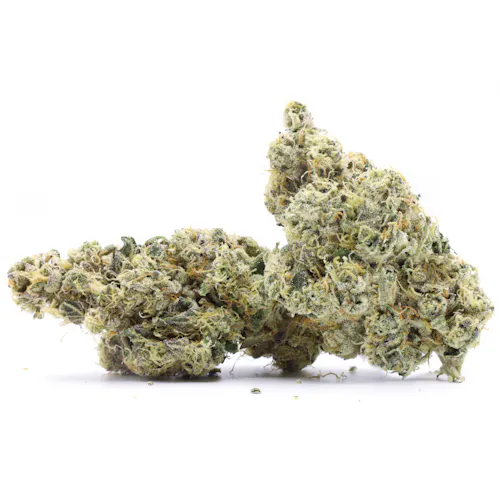 Kimbo Kush – Pakalolo-1