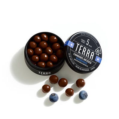 Photo of Terra Milk Chocolate Blueberry Bites [20pk]