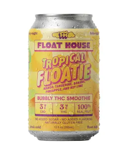 Beverage Tropical Floatie Single