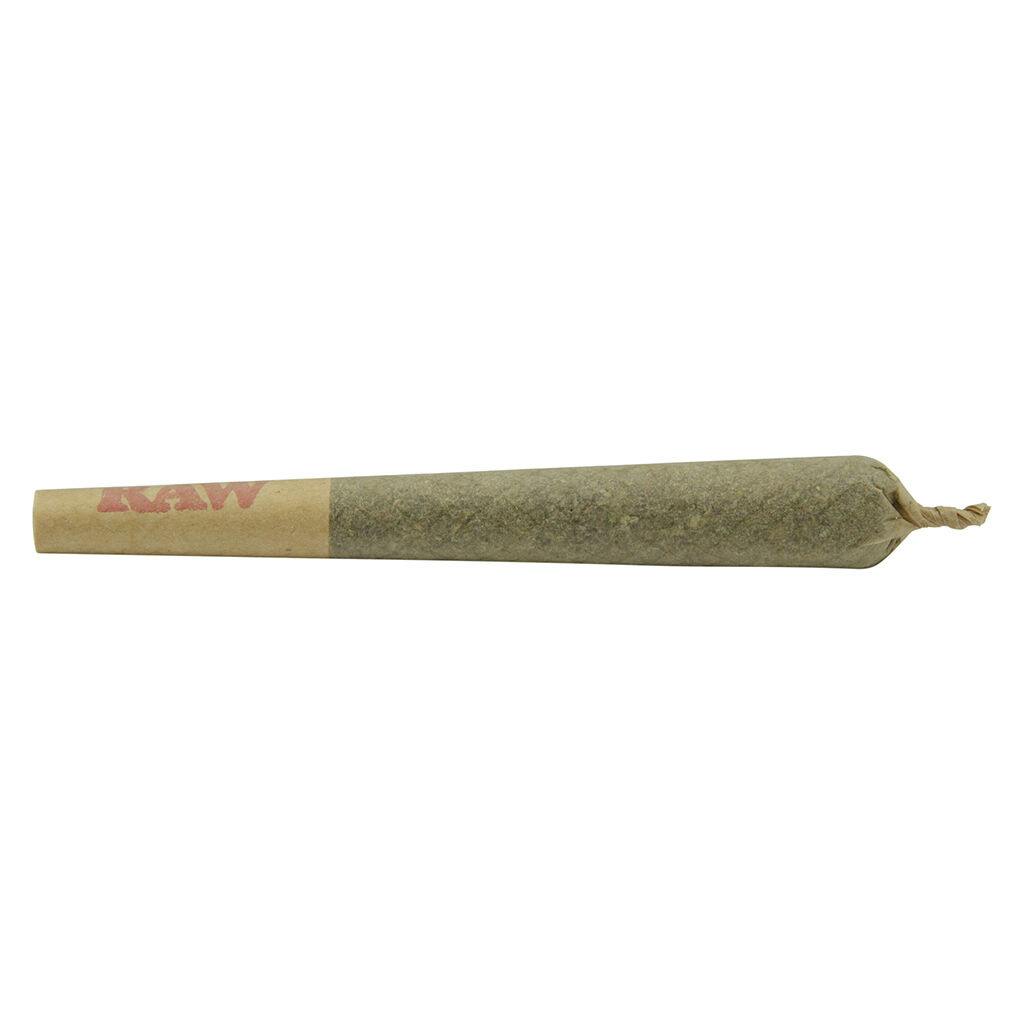 Common Ground - Blueberry Muffin Pre-Roll - Indica - 10x0.5g