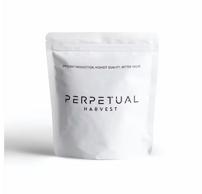 Photo of Perpetual | Mean Gene | Flower | 3.5g