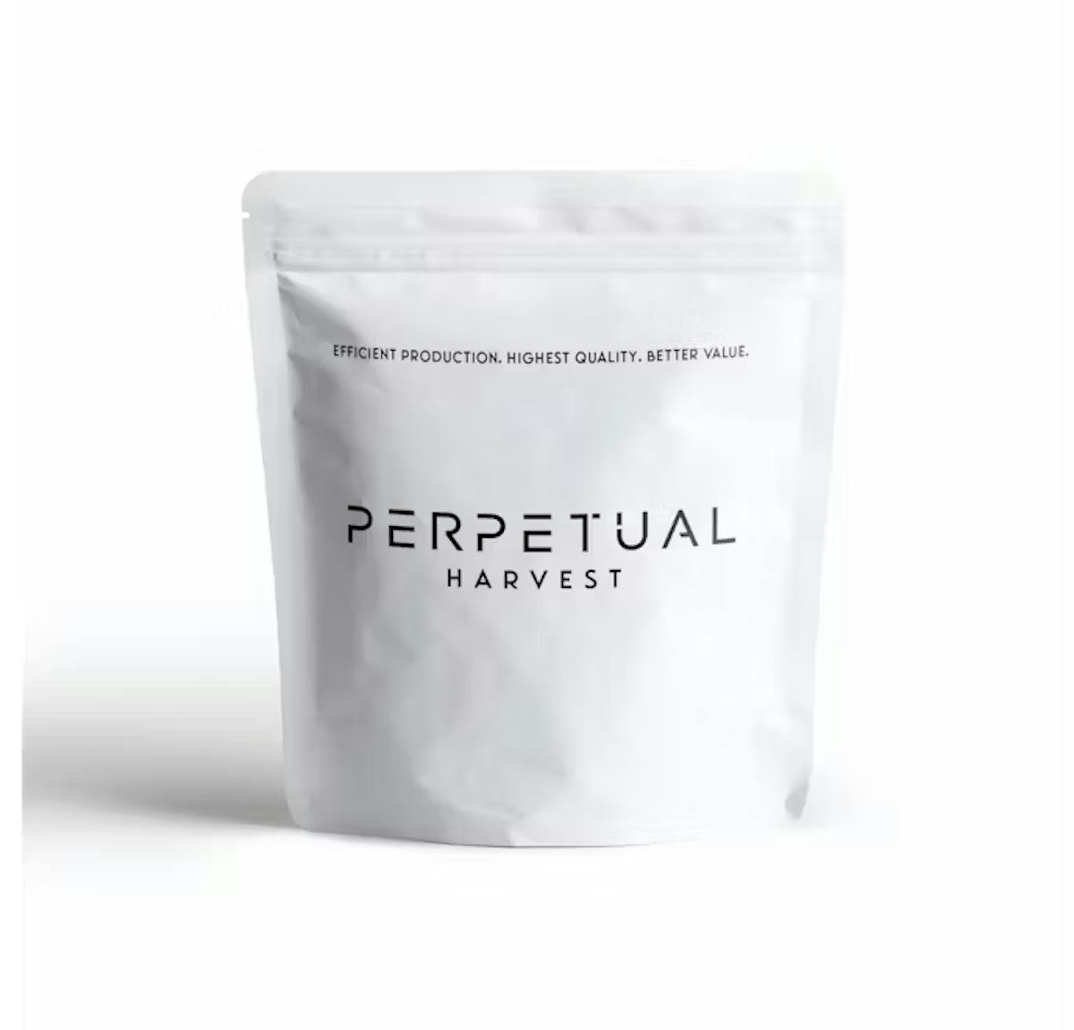 Photo of Perpetual | Chocolope | Flower