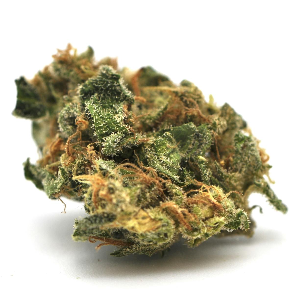 Image of HeadbandxC99 | 1g Prepackaged House Flower