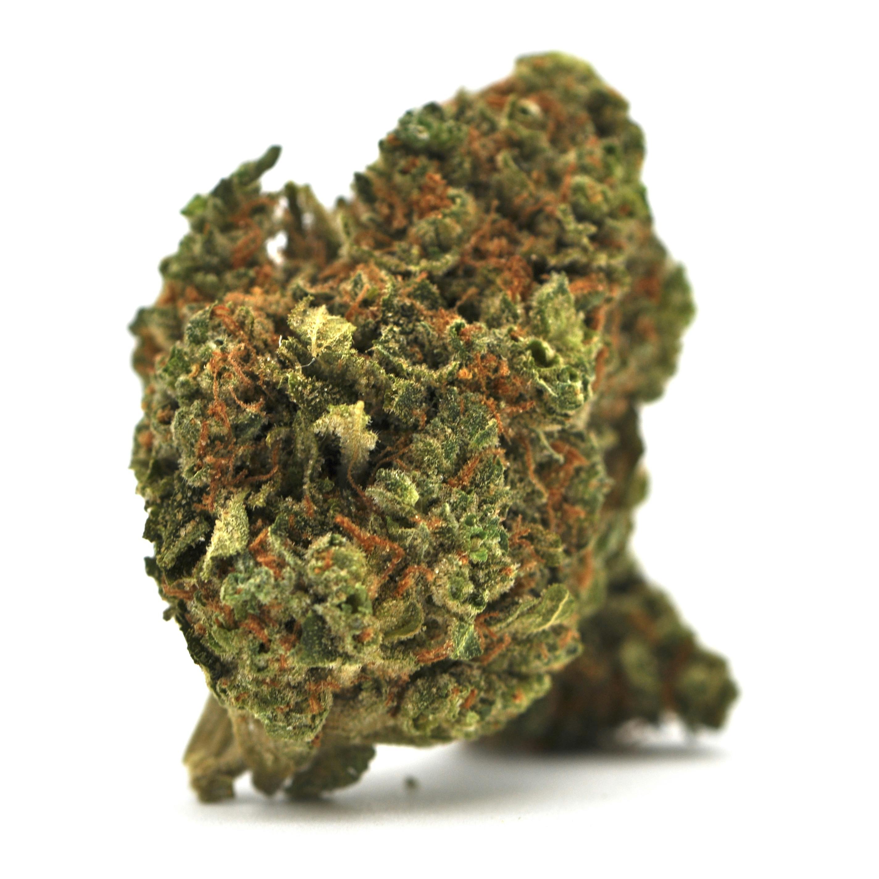 image of Puck x Red Lebanese Hash Plant | 3.5g Prepackaged Flower