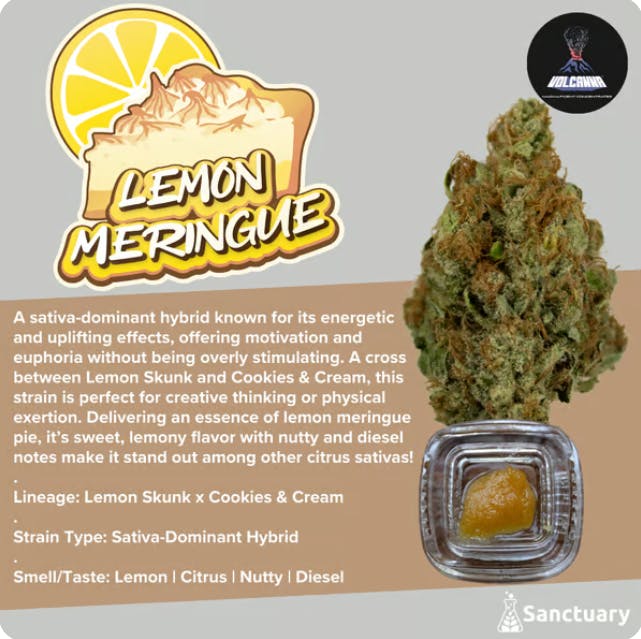 全国宅配無料 - 1g | Sauce Meringue Lemon Volcanna Billerica - Collective | リラクゼーショングッズ