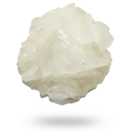 Concentrates category image