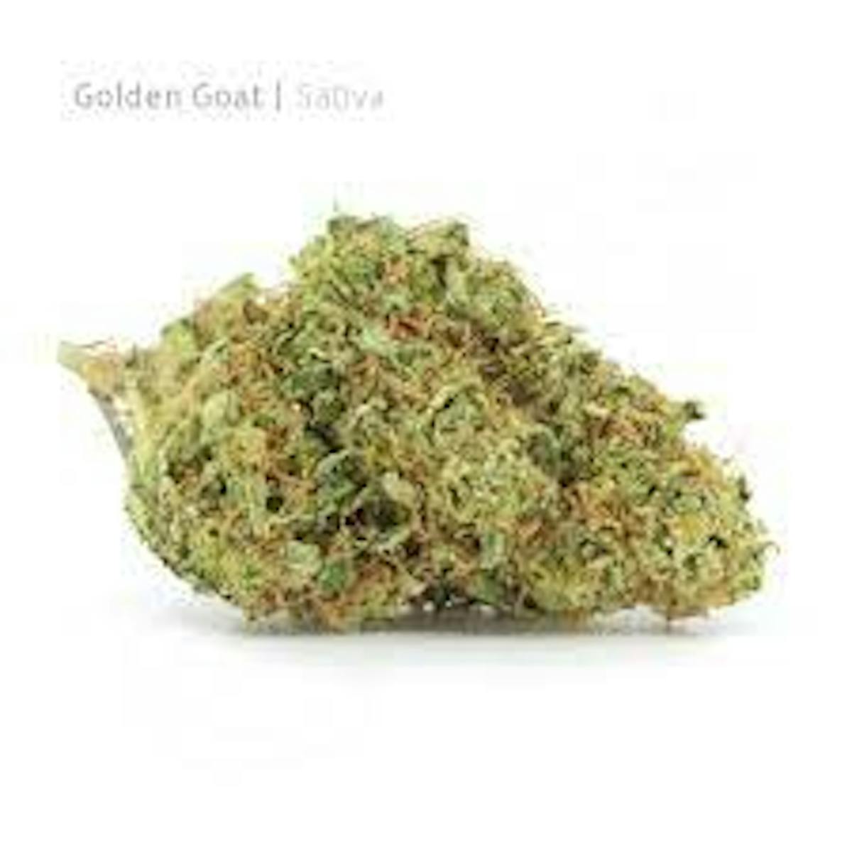 Image of Golden Goat | 3.5g