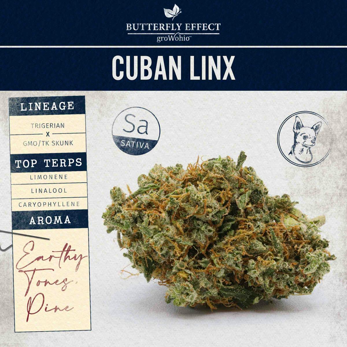 Photo of Cuban Linx