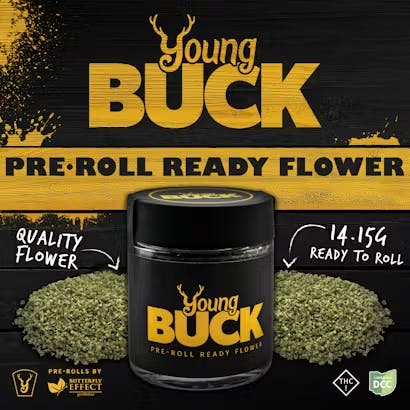 Young Buck Inferno - Ground Flower
