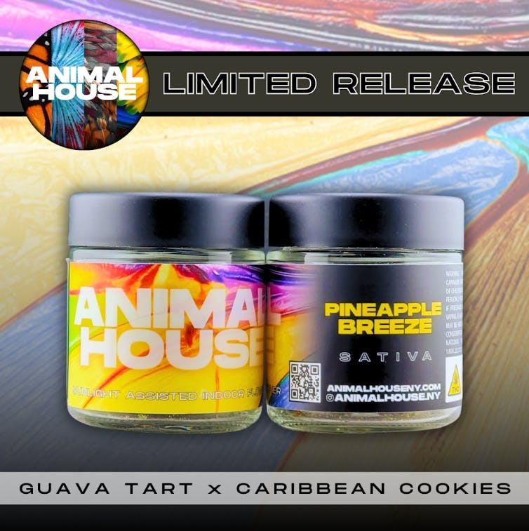 Animal House | Pineapple Breeze | 3.5g