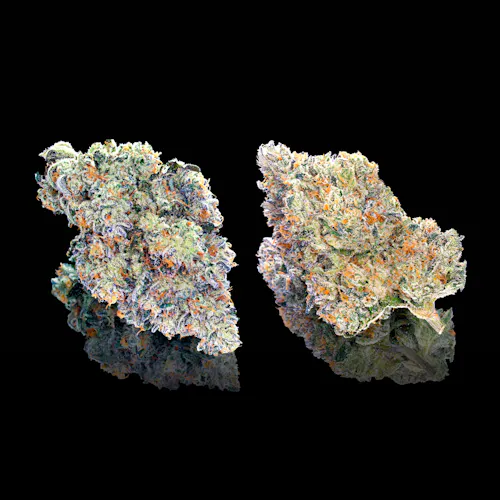 Chem 51-3