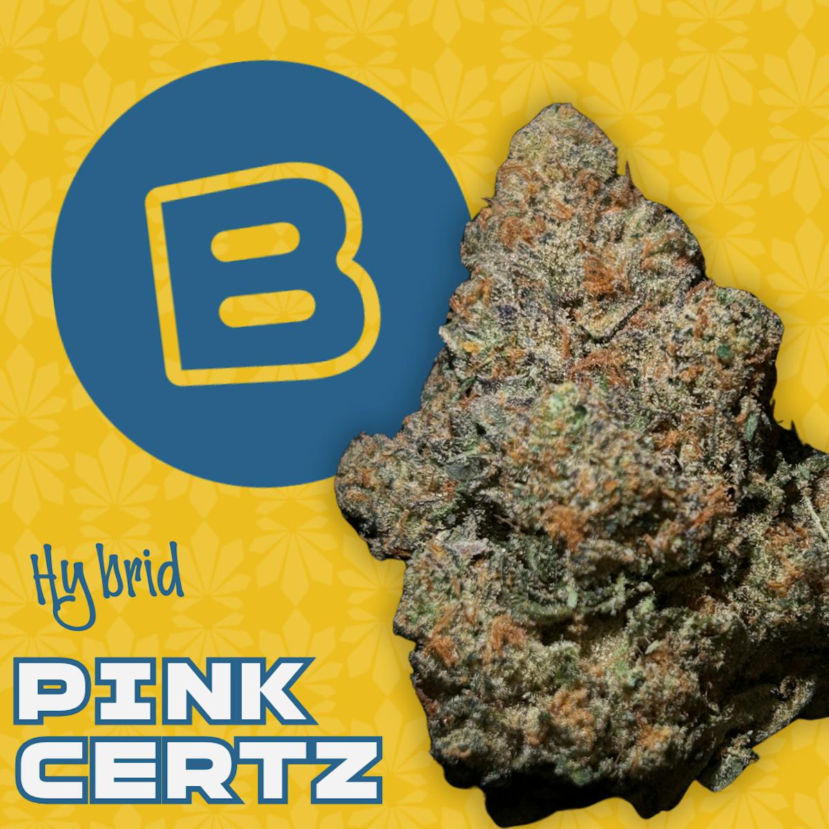 Photo of Pink Certz Sneak Peek Small Buds