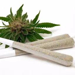 Pre-Rolls category image