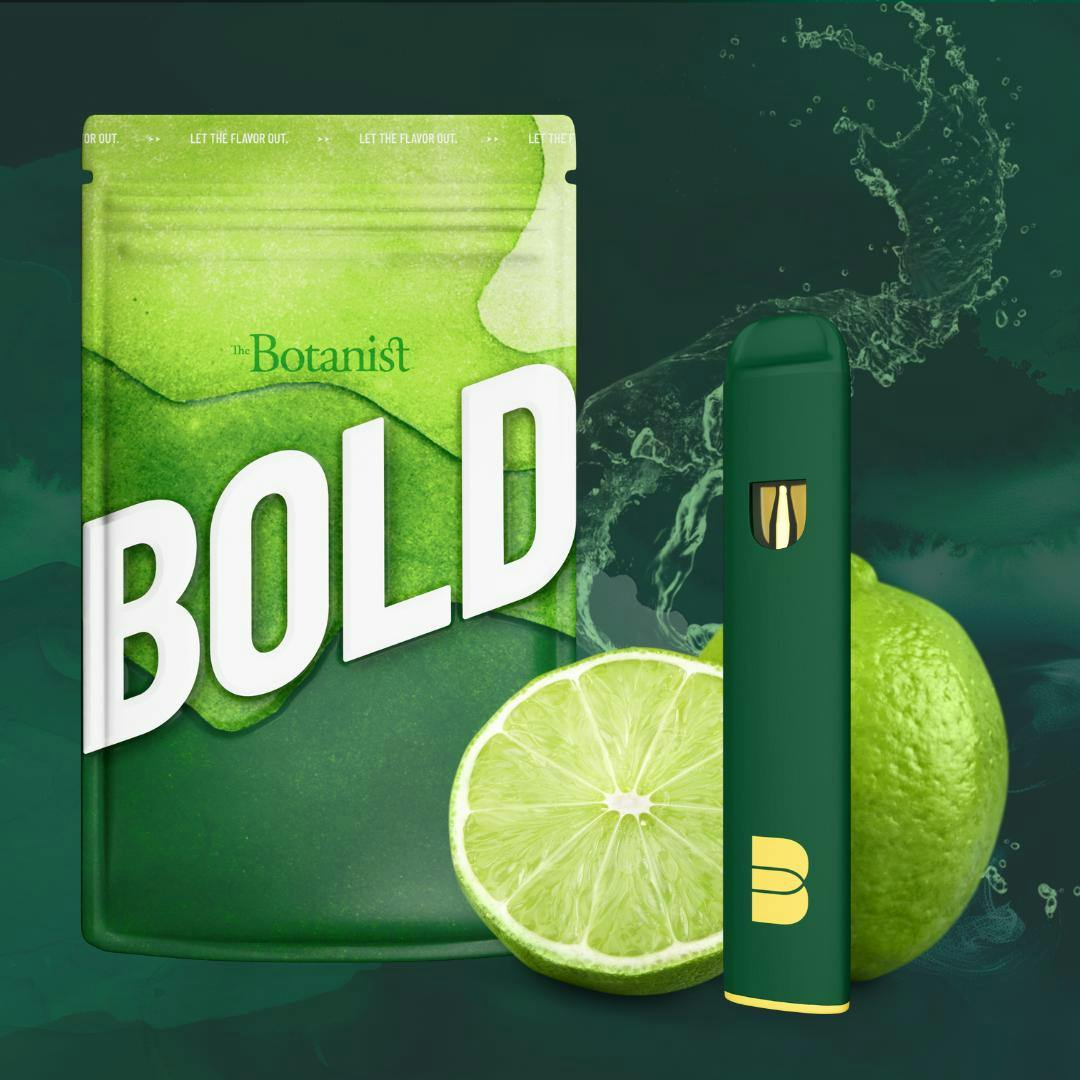 elf bar vape uk Root Beer Novo Bar AL6000 10-Pack for Wholesale