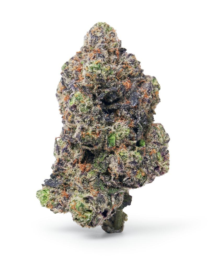 DaDa | Custard Cream | 3.5g ( Premium Cannabis)