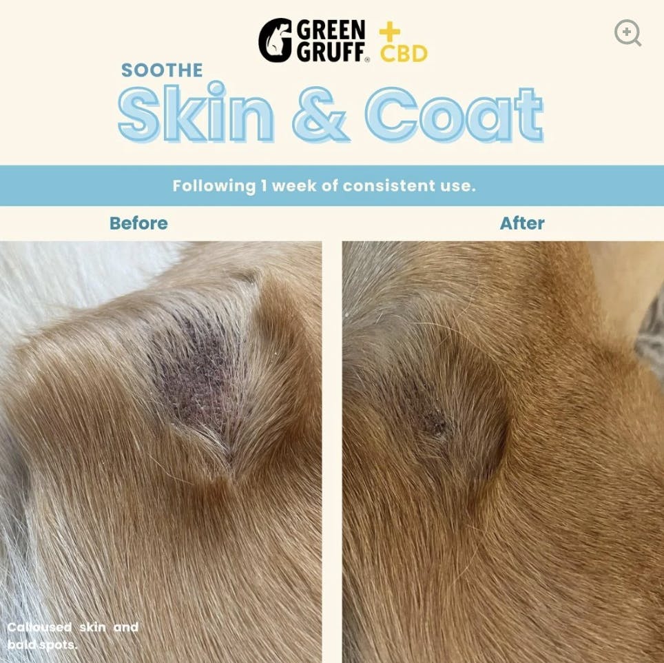 Green Gruff- Soothe Plus CBD |Skin & Coat Dog Supplement 90ct-4