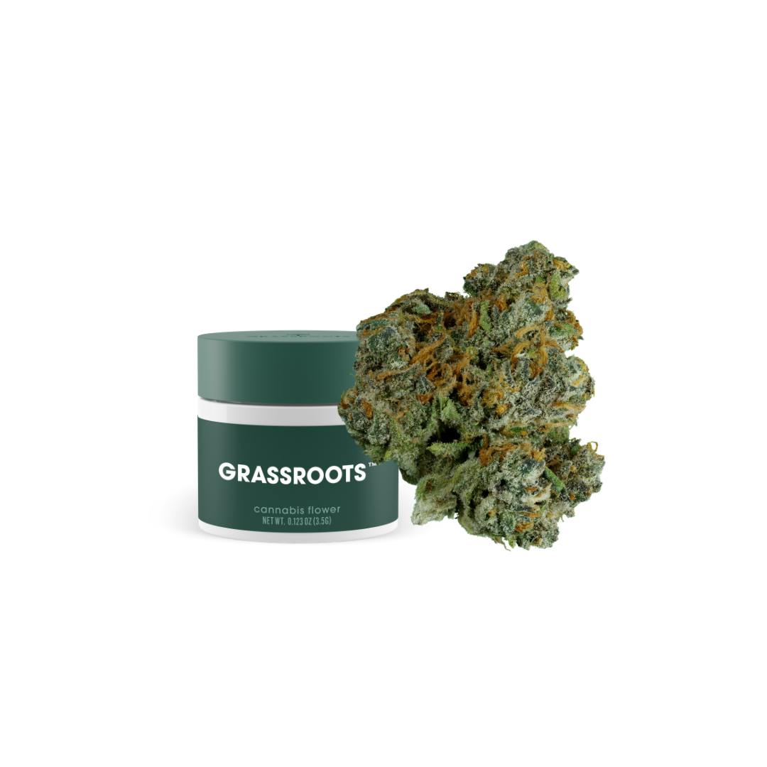 Grassroots Jet Fuel Gelato Flower