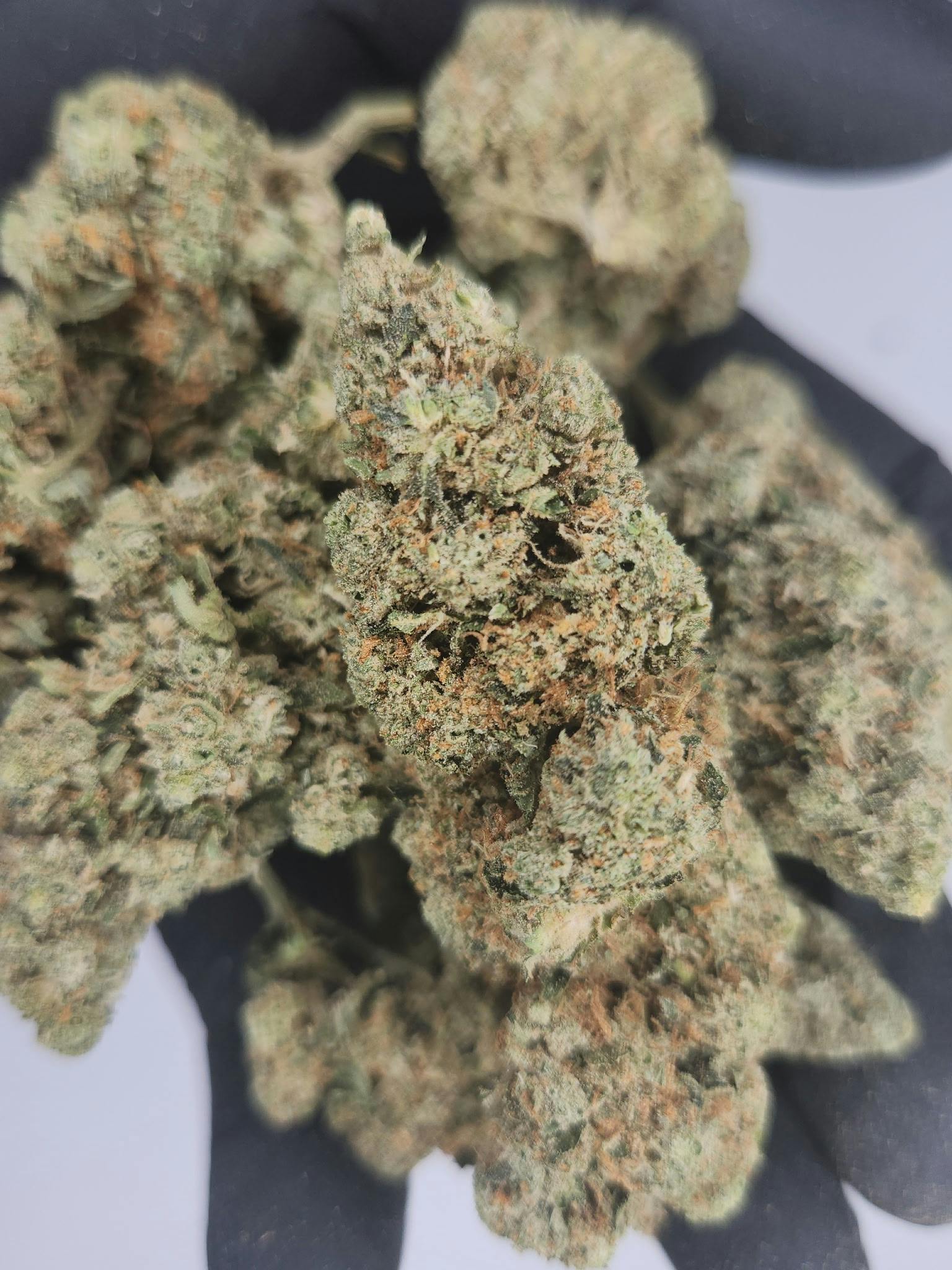 Product: Fresh Canna | Bulk Bud - Pineapple Express