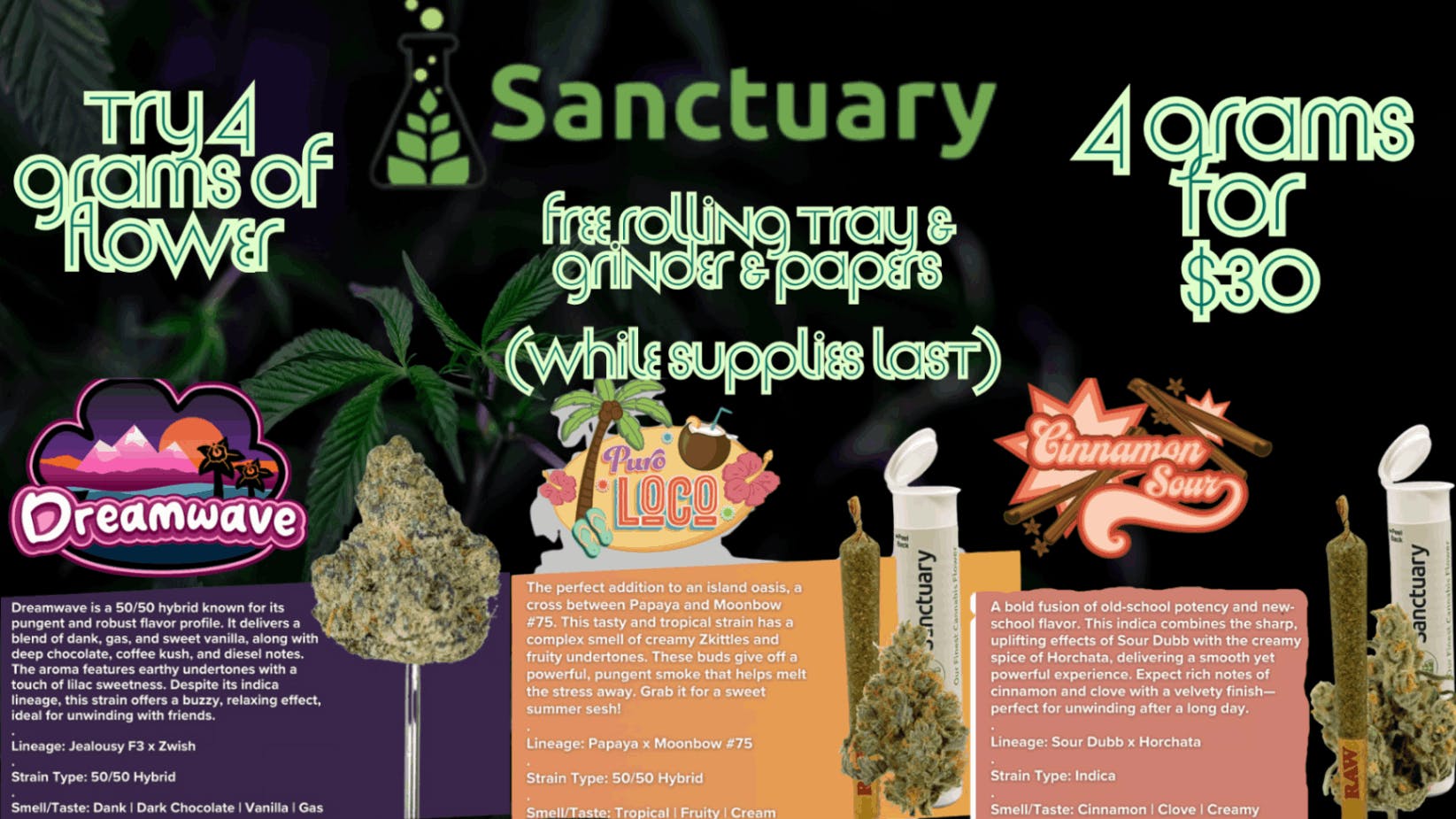 🌿 Sanctuary Sample Deal: 4 Grams for Just $30!