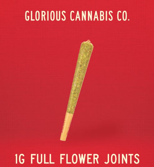 Permanent Marker | Glorious Cannabis Co.