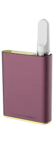 Palm Battery Plum Insa Logo