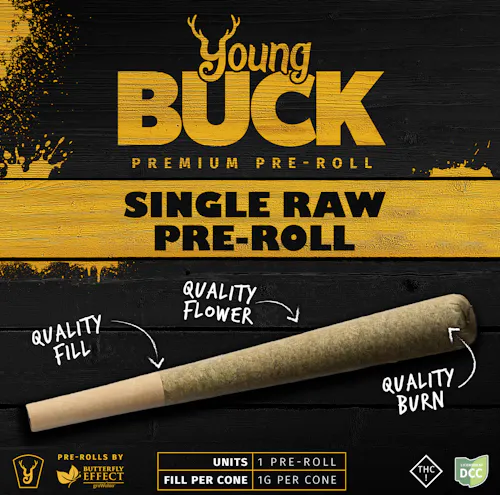 Young Buck | Black Jack (SSU) Pre-roll | 5pk | 2.5g | Sativa-1