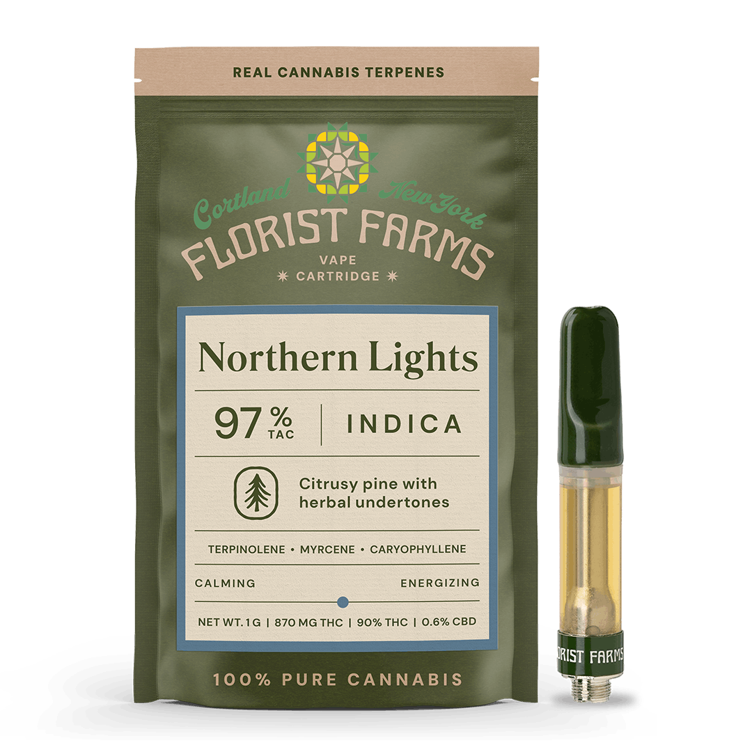 Northern Lights | 510