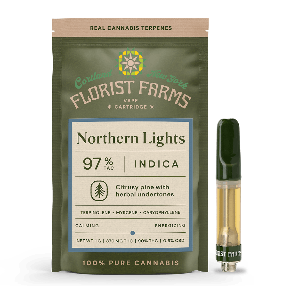Photo of Northern Lights 510 – 1G