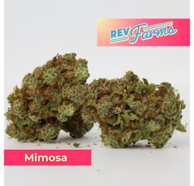 Mimosa (SH) - 3.5g - Flower - Rev Farms - Image 1