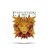 Shop by Evolution