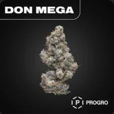 Product: Don Mega | Pro Gro