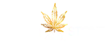 dispensary logo