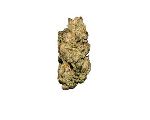Sour Gelato