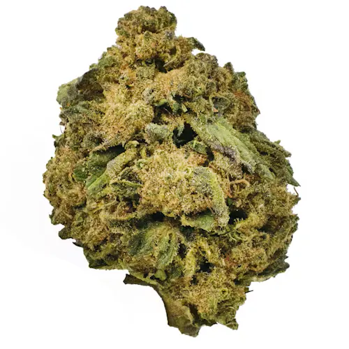 OG Farms Kombucha Prepack Rec-1