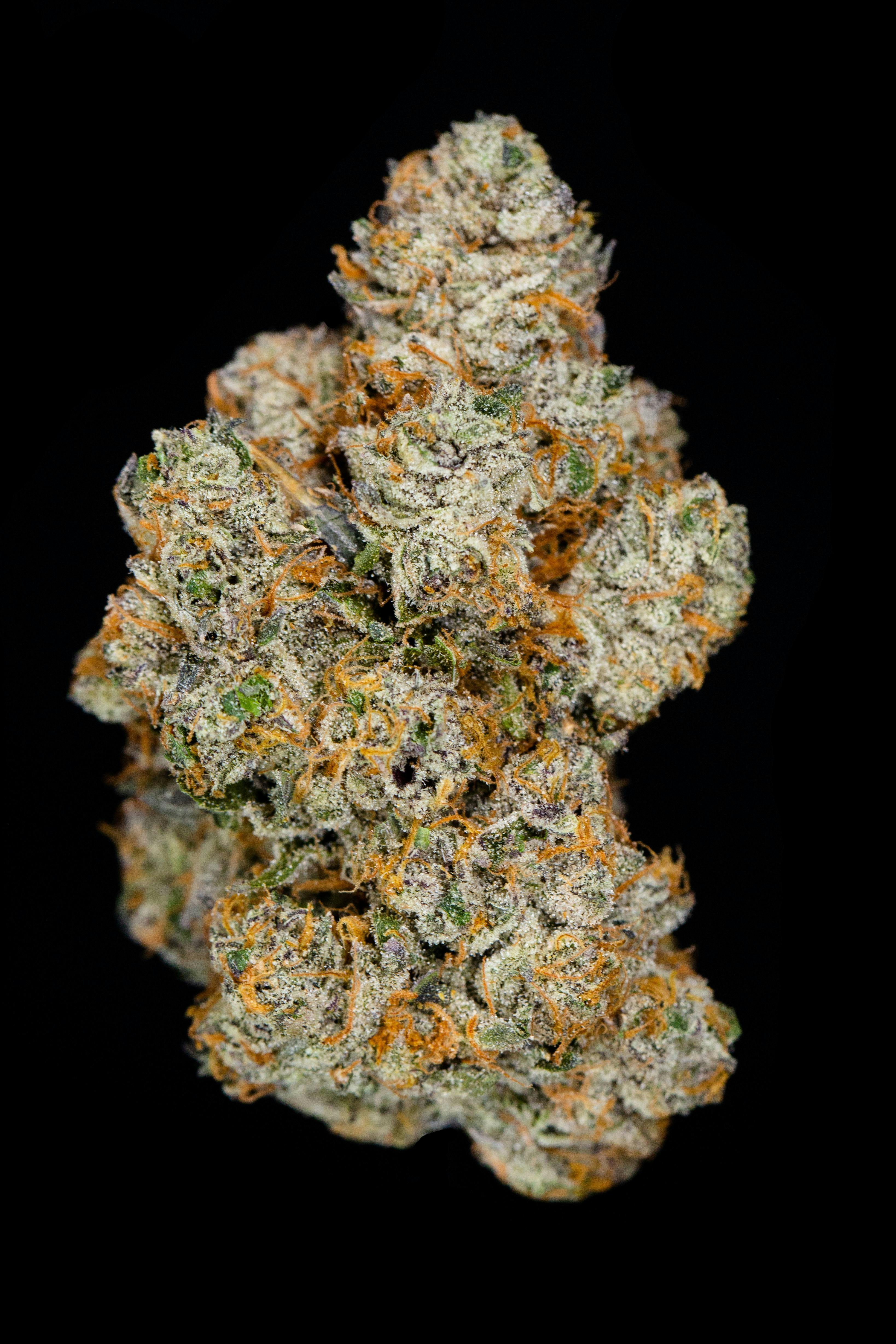 Product Hellcat (Gold)