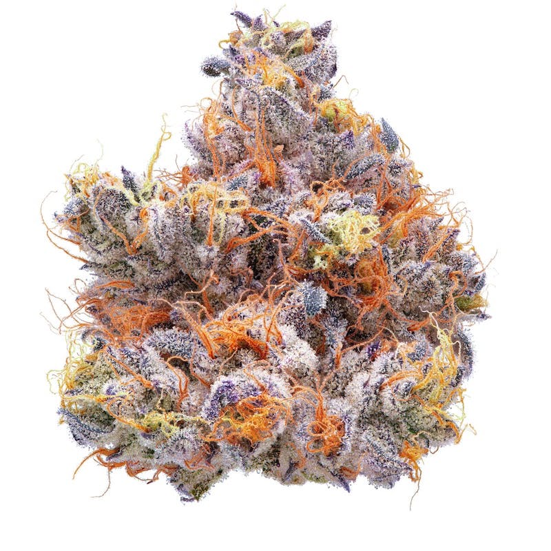 Product CMS Gardens - Platinum Truffle Flower (3.5g)