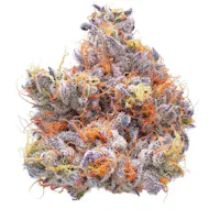 Product CMS Gardens - Platinum Truffle Flower (3.5g)