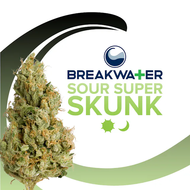 Breakwater Flower Sour Super Skunk 3.5g (hybrid, whole flower)