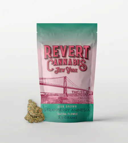 REVERT | STRAWBERRY AMNESIA | 3.5G-active