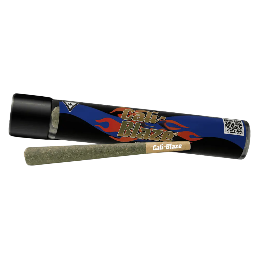 Product LA BeatNik Pre-Roll | 1g