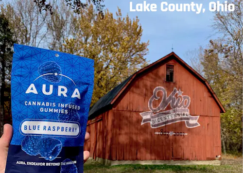 Aura | Blue Raspberry Crunch Gummies + CBN | 550mg | Indica-1