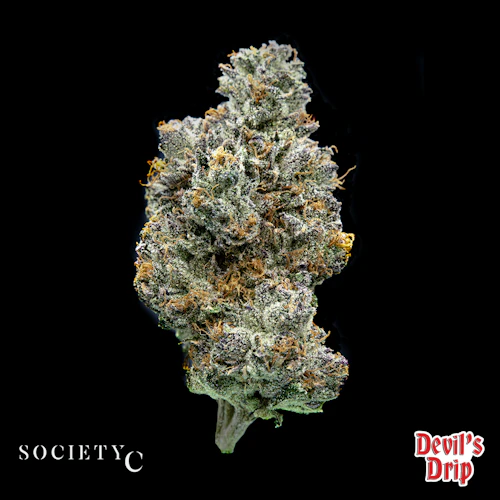 Society C - 28g Prepack Smalls - Devils Drip