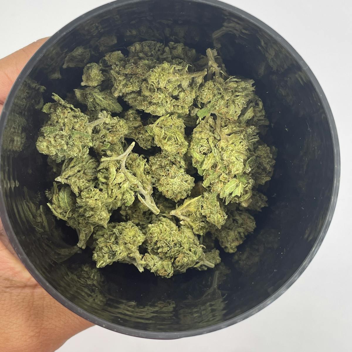 Photo of Apples & Bananas (Oregon Cannabis Collective)