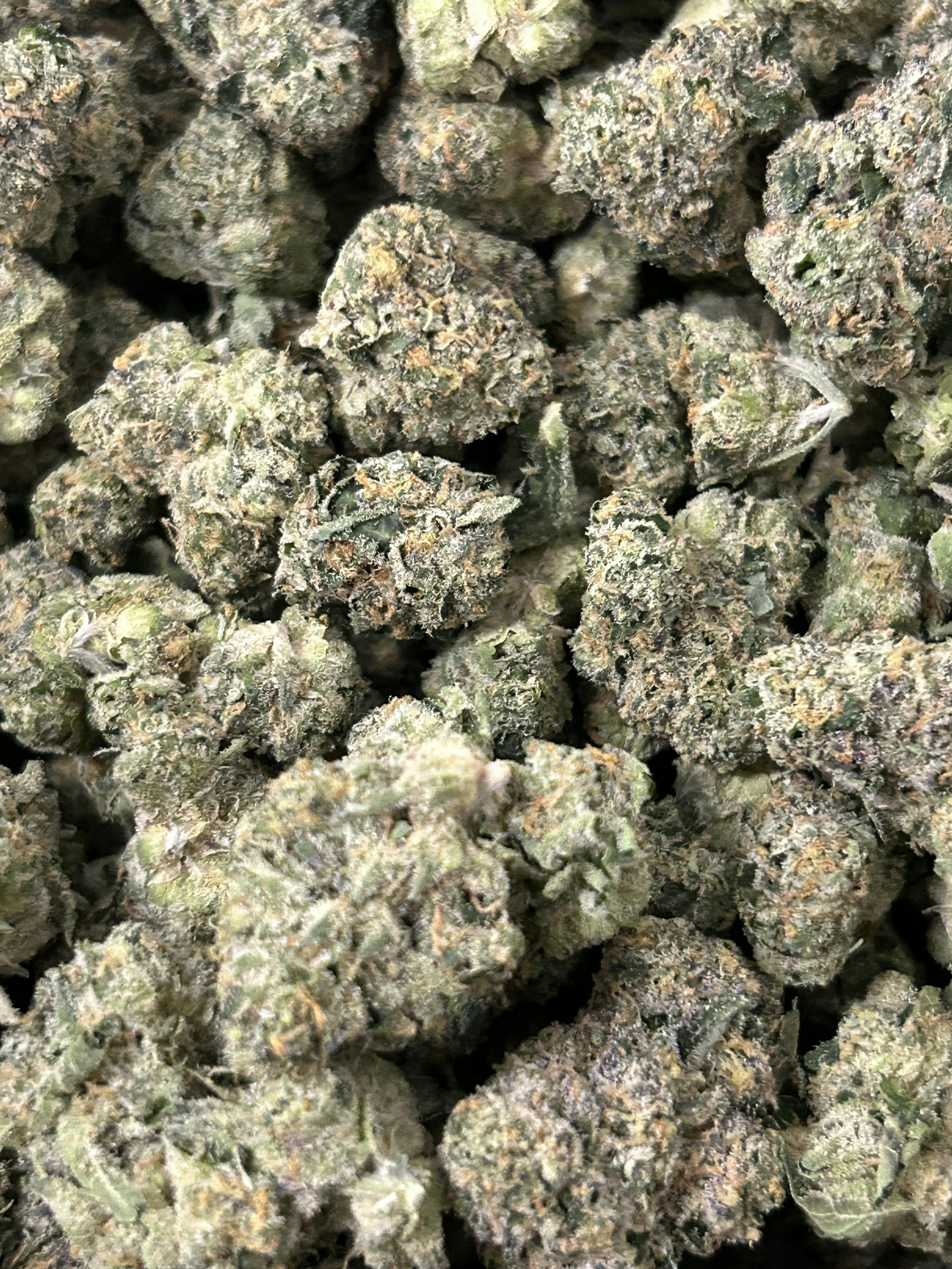 Sherbanger | Redbud Roots