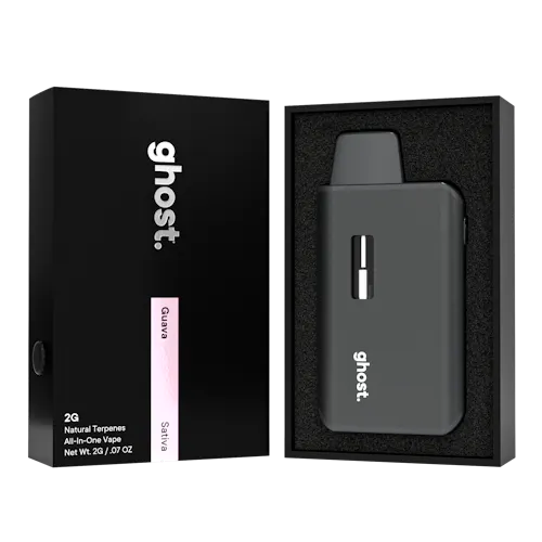 2g Guava All-In-One Vape-active