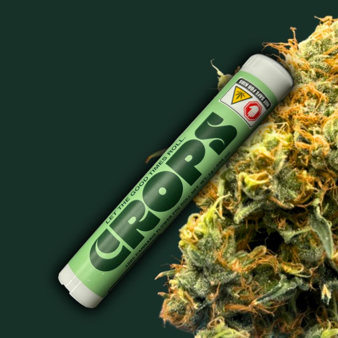 Image of product