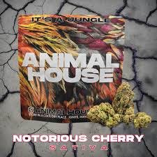Animal House | Notorious Cherry |3.5G Mixed Light Flower