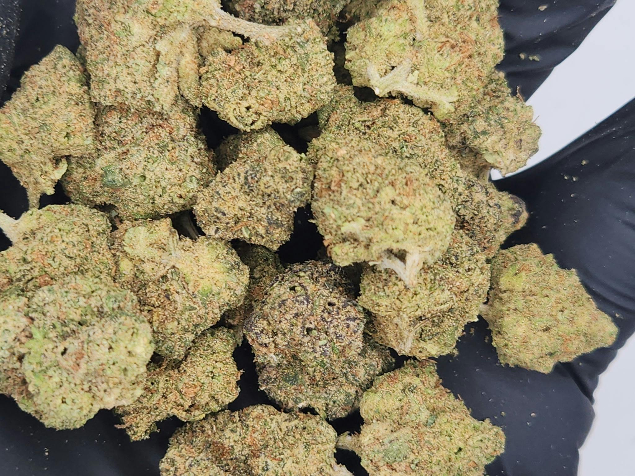 Product: BHL | Bulk Bud - Banana Deep